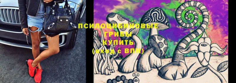 Псилоцибиновые грибы MAGIC MUSHROOMS  Покров 